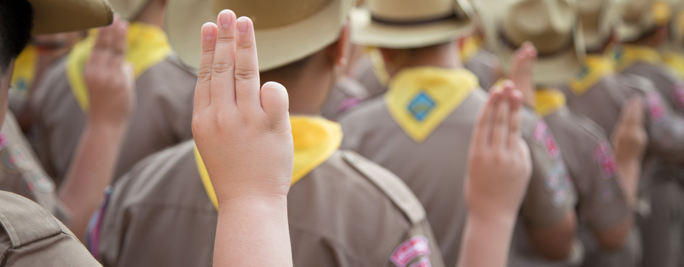 Boy Scouts Raising Hand